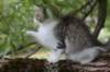 ushara12weeks306202351_small.jpg