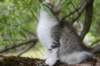 ushara12weeks306202356_small.jpg