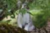 ushara12weeks306202357_small.jpg