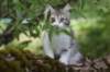ushara12weeks306202358_small.jpg