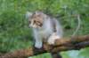 ushara12weeks30620235_small.jpg