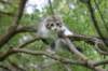 ushara12weeks306202367_small.jpg