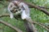 ushara12weeks306202368_small.jpg