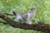 ushara12weeks306202370_small.jpg