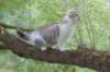ushara12weeks306202371_small.jpg