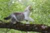 ushara12weeks306202372_small.jpg