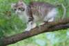 ushara12weeks30620238_small.jpg