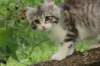 ushara12weeks30620239_small.jpg