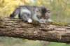 ushara5viikkoa135202318_small.jpg