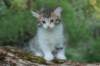 ushara7viikkoa25520234_small.jpg