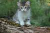ushara7viikkoa25520235_small.jpg