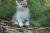 ushara7viikkoa25520236_small.jpg