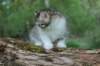 ushara7viikkoa25520238_small.jpg