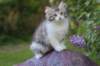 ushara95viikkoa126202312_small.jpg