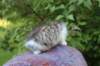 ushara95viikkoa12620232_small.jpg