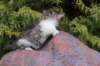 usharan032410_small.jpg