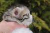 usharan032411_small.jpg