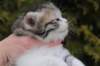 usharan032412_small.jpg