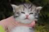 usharan032413_small.jpg