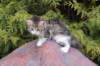 usharan03241_small.jpg