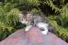 usharan03242_small.jpg
