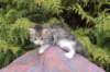 usharan03243_small.jpg