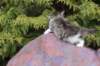 usharan03244_small.jpg