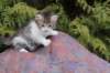 usharan03245_small.jpg