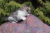 usharan03246_small.jpg
