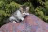 usharan03248_small.jpg