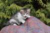 usharan03249_small.jpg