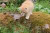 uziel11weeks226202312_small.jpg