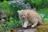 uziel11weeks226202329_small.jpg