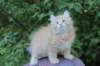 uziel95viikkoa126202318_small.jpg