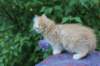 uziel95viikkoa12620234_small.jpg