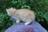 uziel95viikkoa12620235_small.jpg