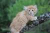 uzielboy65weeks215202329_small.jpg