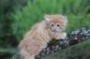 uzielboy65weeks215202330_small.jpg