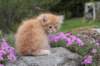 uzielboy65weeks215202337_small.jpg