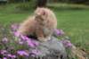 uzielboy65weeks215202345_small.jpg