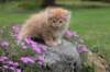 uzielboy65weeks215202346_small.jpg