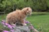 uzielboy65weeks215202351_small.jpg