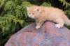 uzielboyd243_small.jpg
