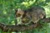 img_0687_small.jpg