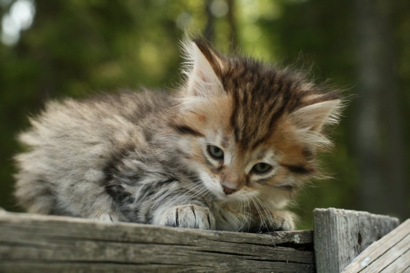 uuriaboy6weekssibn24101.jpg