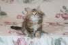 uriella105weeks10_small.jpg
