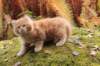 vanya105weeks259202312_small.jpg