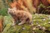 vanya105weeks259202314_small.jpg