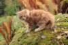 vanya105weeks259202315_small.jpg