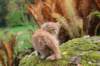 vanya105weeks259202316_small.jpg